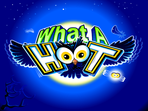 وٹ اے ہوٹ game icon