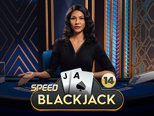 Speed Blackjack 14 game icon